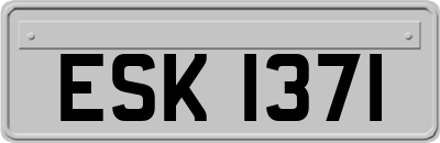 ESK1371