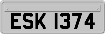 ESK1374