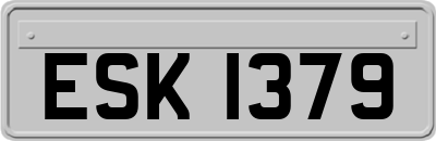 ESK1379