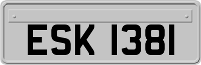 ESK1381