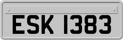 ESK1383