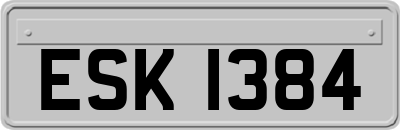 ESK1384