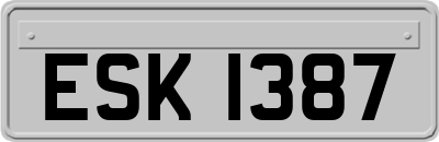 ESK1387
