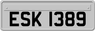ESK1389