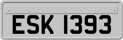 ESK1393