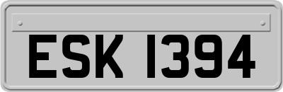 ESK1394