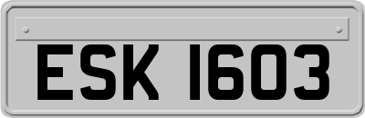 ESK1603