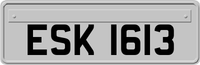 ESK1613