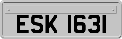 ESK1631