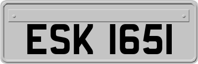 ESK1651