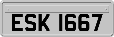 ESK1667