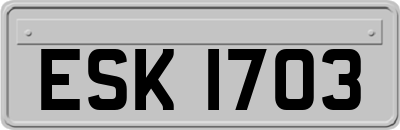 ESK1703