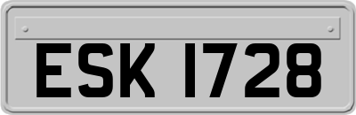 ESK1728