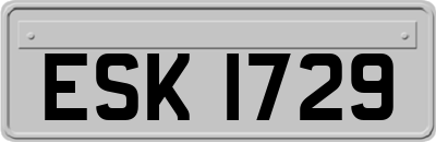 ESK1729