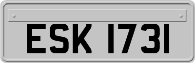 ESK1731