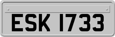ESK1733