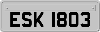 ESK1803