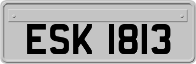 ESK1813