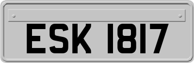 ESK1817