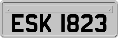 ESK1823