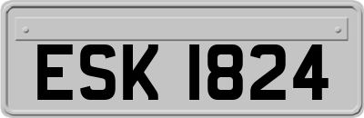 ESK1824