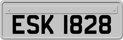 ESK1828