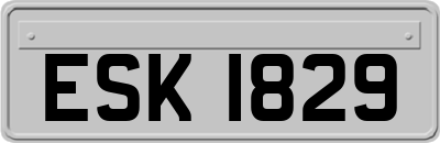 ESK1829