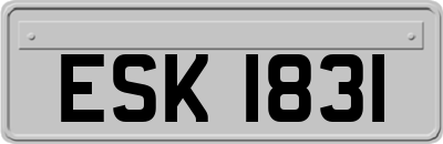 ESK1831