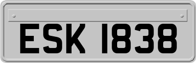 ESK1838