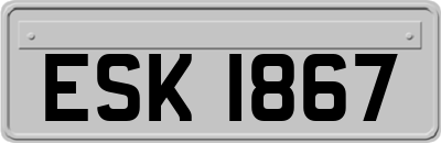 ESK1867