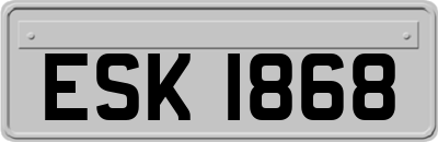 ESK1868