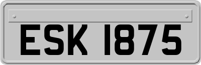 ESK1875