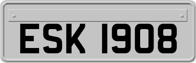 ESK1908