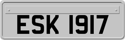 ESK1917