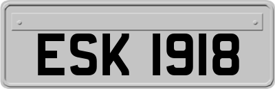 ESK1918