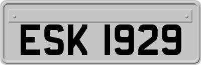 ESK1929