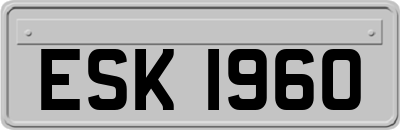 ESK1960