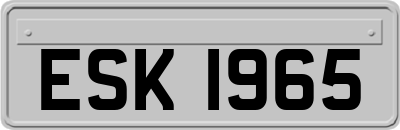 ESK1965