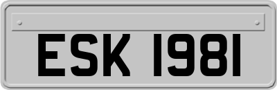 ESK1981