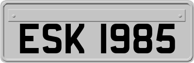 ESK1985