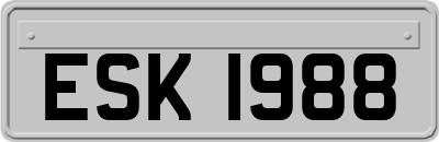 ESK1988