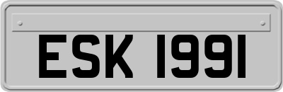 ESK1991