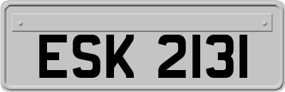 ESK2131