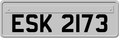 ESK2173