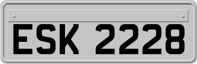 ESK2228
