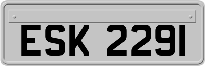 ESK2291