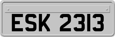 ESK2313