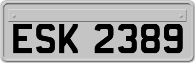 ESK2389