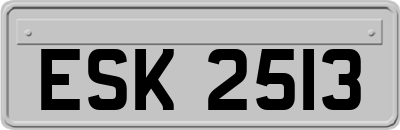 ESK2513