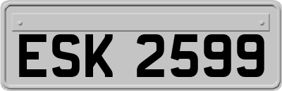 ESK2599